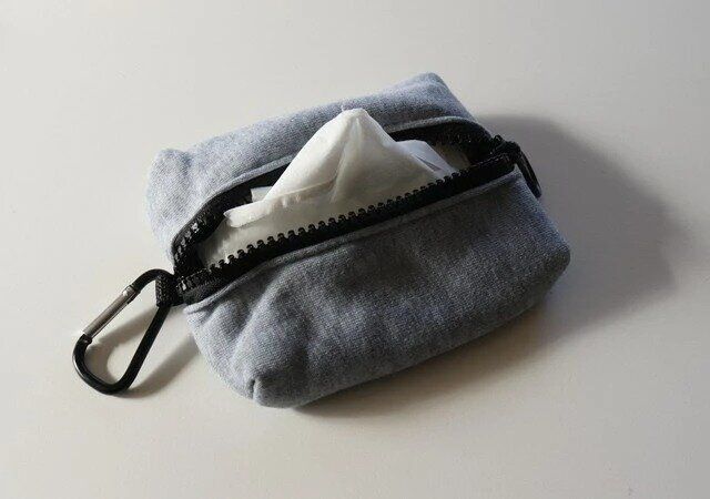 ダイソー ポケティケース（カラビナ付）