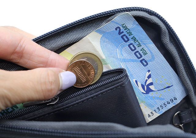 宝島社リンネル7月号のムーミンのストラップ付きマルチケース6