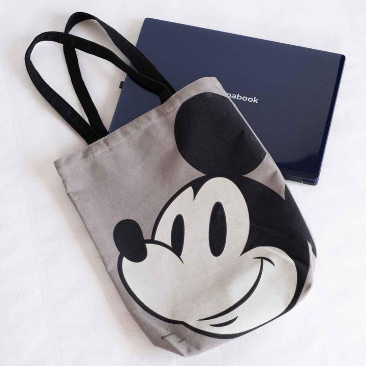 画像1: 出典：ftn_pics