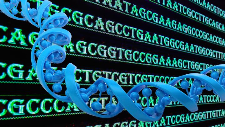 4文字の置き換えでマウス脳が巨大化