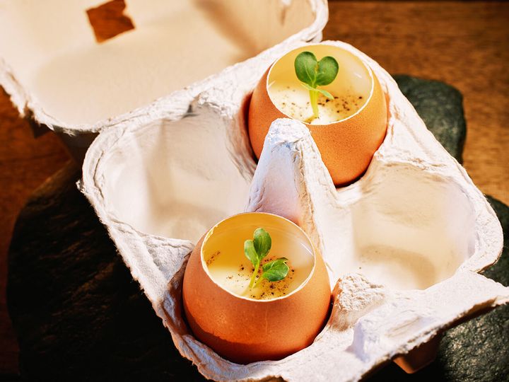 新福島『炭火焼鳥コクレ』の「茶碗蒸し」