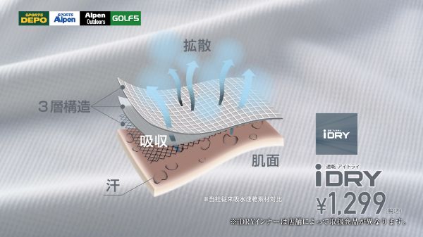 ワークマンの神コットが爆売れ中！“初心者キャンパーの最強の味方”すぎる！