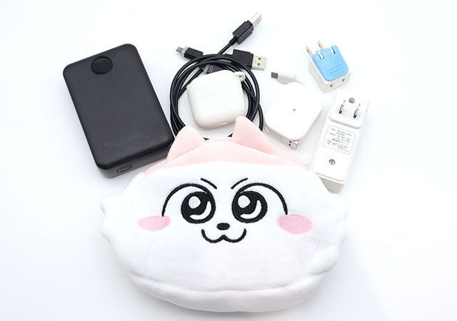 ンめねこフェイスポーチ付録レビューガジェット収納