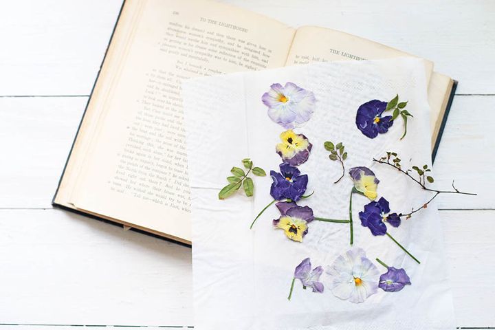 パンジーの押し花