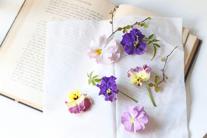パンジーの押し花作り