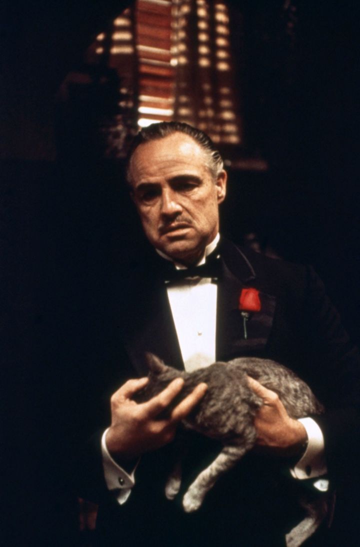 受賞作品となった『ゴッドファーザー』で、ドン・コルレオーネを演じるマーロン・ブランド。公開当時に過激な性描写で物議を醸した映画『ラストタンゴ・イン・パリ』（1972）では、強姦シーンで共演俳優のマリア・シュナイダーとの間の同意を巡り、2013年のベルナルド・ベルトルッチ監督のインタビューをきっかけに論争が起こった。