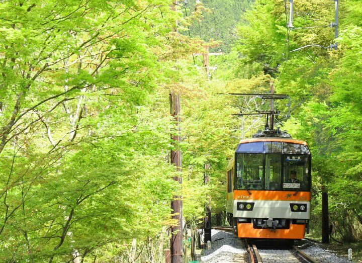 京都・洛北の青もみじプチトリップ、叡山電車に乗って「下鴨神社」から京の奥座敷「貴船」へ♪
