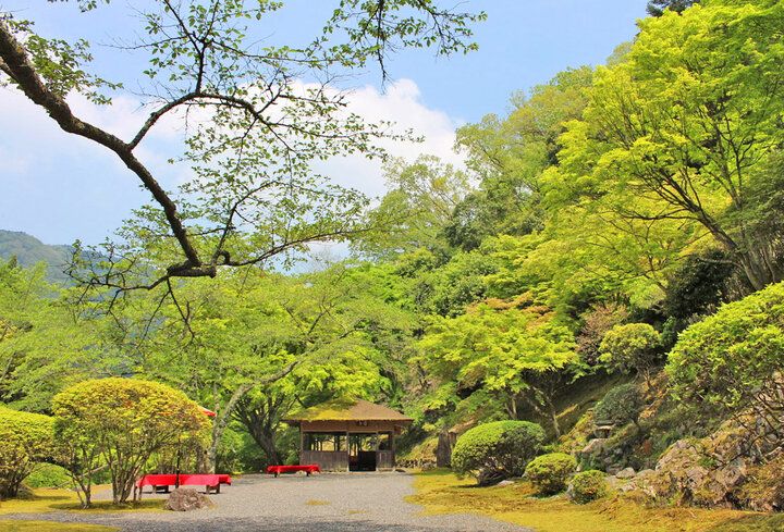 京都・洛北の青もみじプチトリップ、叡山電車に乗って「下鴨神社」から京の奥座敷「貴船」へ♪
