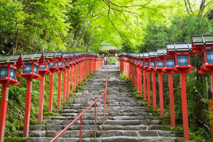 京都・洛北の青もみじプチトリップ、叡山電車に乗って「下鴨神社」から京の奥座敷「貴船」へ♪