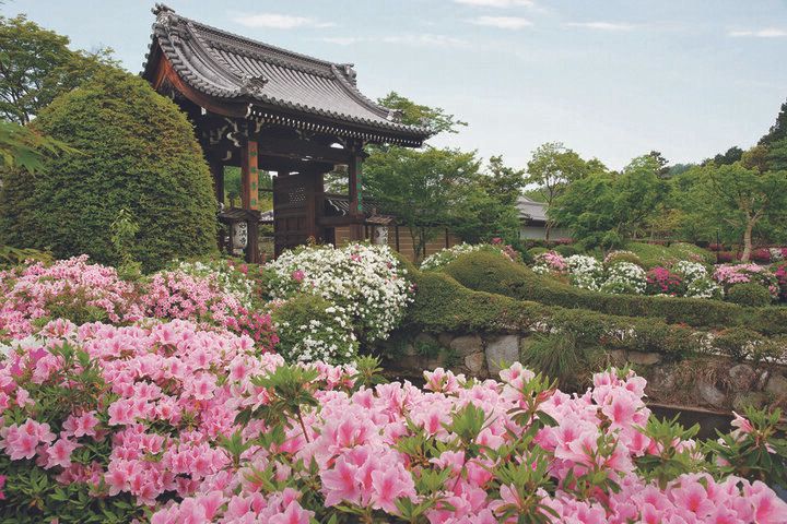 京都・洛北の青もみじプチトリップ、叡山電車に乗って「下鴨神社」から京の奥座敷「貴船」へ♪