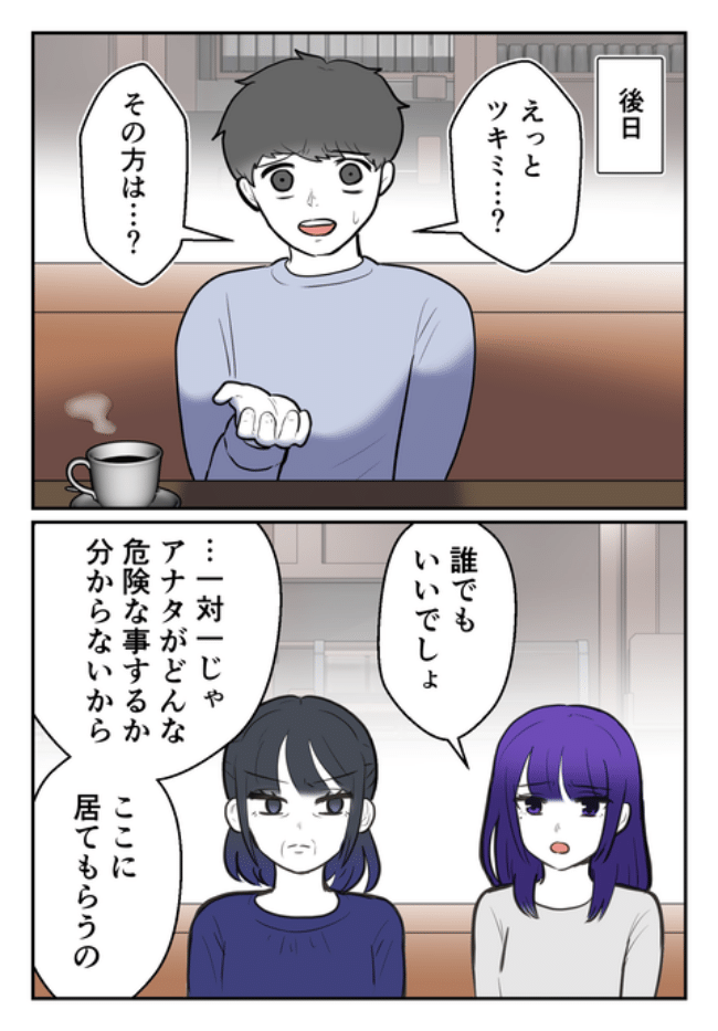 DINKS〜妻が子どもを欲しがらない〜／尾持トモ