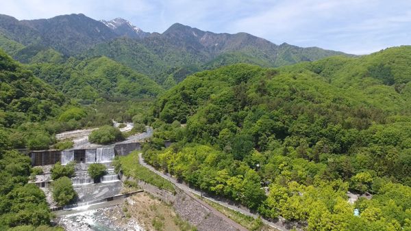 【最強コスパ検証】ダイソーの300円ランタン3種類、本当に優秀なのはどれ？