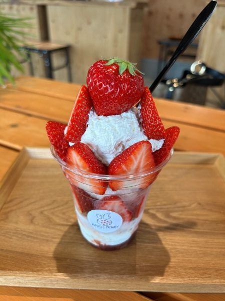 ⑱　いちごパフェ☆ 2023最新】デニーズのいちごパフェに心踊る！ジューシーな
