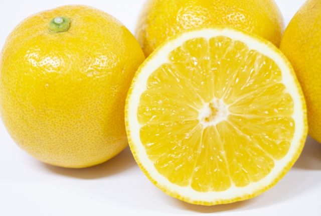 スイートレモネード レモン 種類