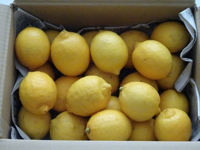 段ボールに入ったレモン