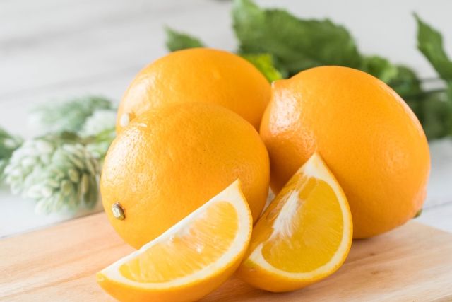 マイヤーレモン レモン 種類