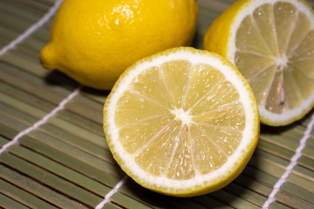 リスボンレモン レモン 種類