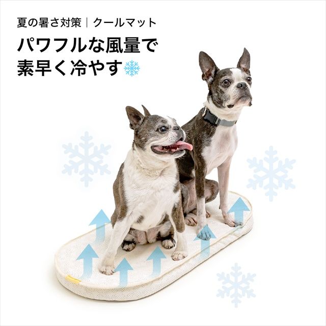 エアモンペット