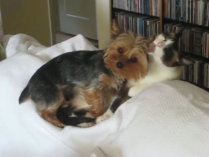 この表情である…