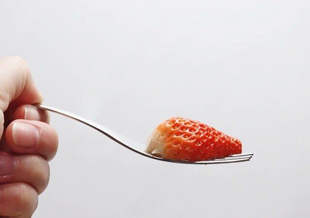 LA NATURE デザートフォーク