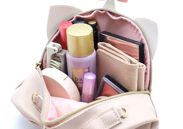 宝島社のムック付録のディズニーのおしゃれキャットマリーのフェイスポーチ9