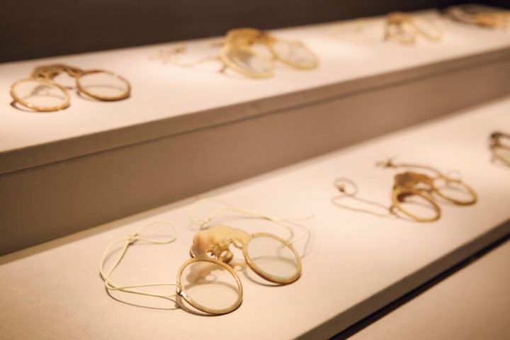 博物館に展示されている「江戸支柱式天狗眼鏡」。その精巧な造りに驚きます。