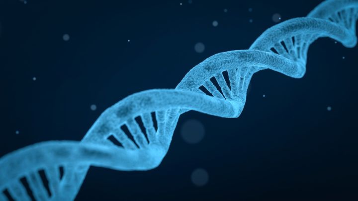 “第２のゲノムコード”をどう読む？