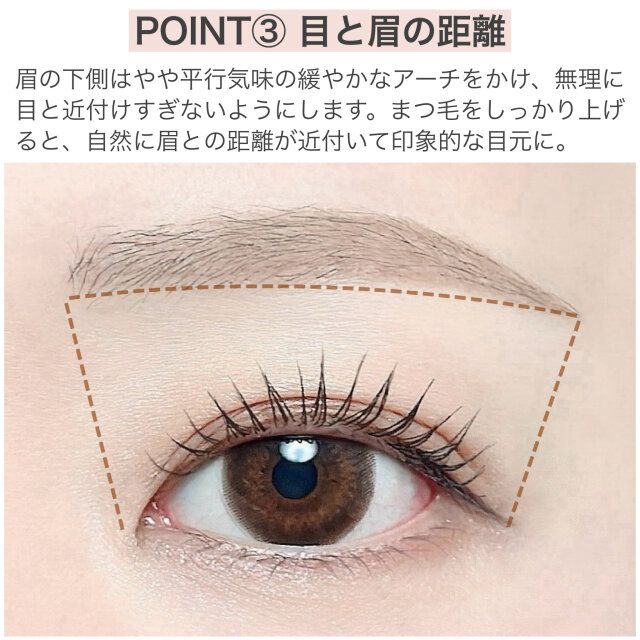 目と眉の距離 解説