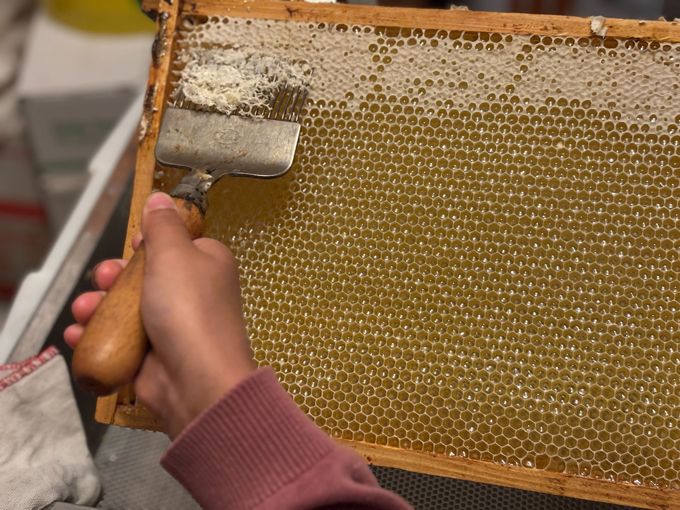 ドイツで子育てする中原さんの「ハニーハント」！ 娘の誕生日プレゼントは「ハチミツの収穫」!?【教えて！世界の子育て～ドイツ～】の画像8