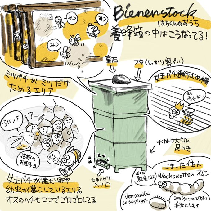 ドイツで子育てする中原さんの「ハニーハント」！ 娘の誕生日プレゼントは「ハチミツの収穫」!?【教えて！世界の子育て～ドイツ～】の画像4