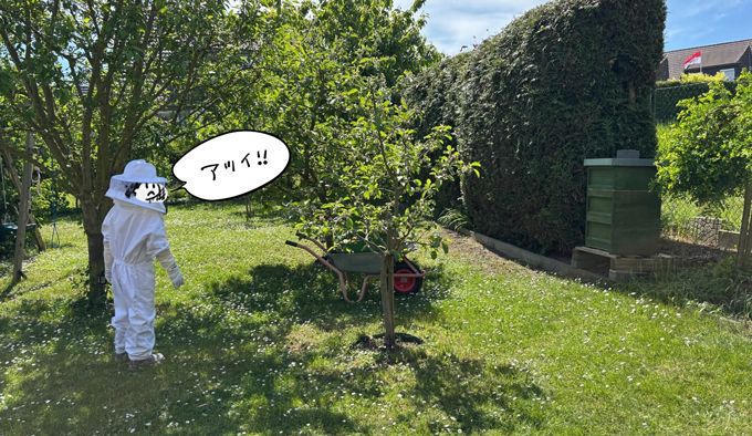 ドイツで子育てする中原さんの「ハニーハント」！ 娘の誕生日プレゼントは「ハチミツの収穫」!?【教えて！世界の子育て～ドイツ～】の画像3