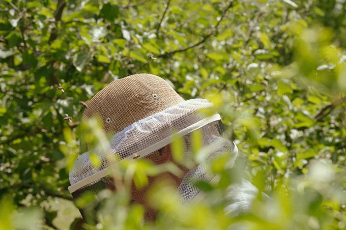 ドイツで子育てする中原さんの「ハニーハント」！ 娘の誕生日プレゼントは「ハチミツの収穫」!?【教えて！世界の子育て～ドイツ～】の画像6