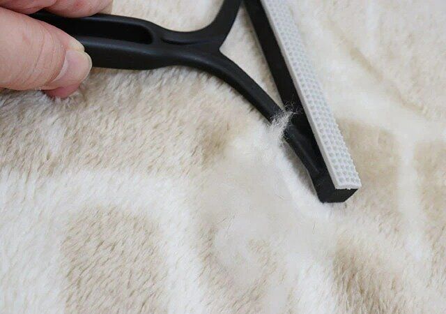 ダイソー エチケットブラシ