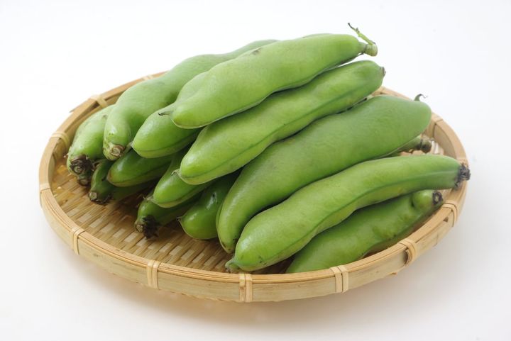 鮮度が落ちやすいソラマメを上手に保存するコツは？