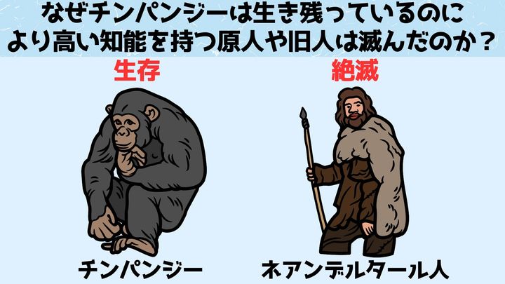 なぜチンパンジーは生き残っているのに高い知能を持つ原人や旧人は滅んだのか？