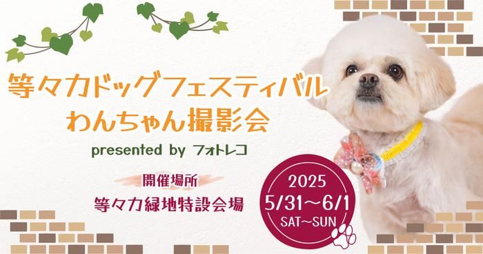 等々力ドッグフェスティバル フォトブース