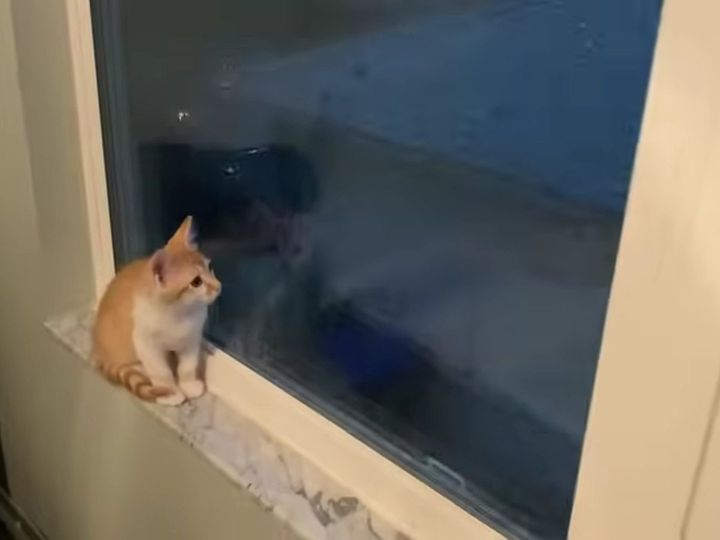 怖がるのでは…と思いきや！