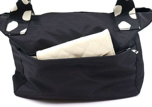 宝島社イア パピヨネダルメシアン2WAYバッグ背面ポケット