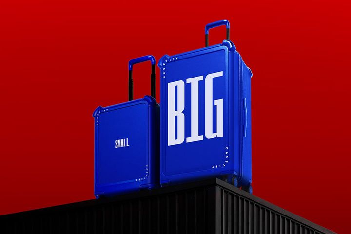 〈左から〉バウンス キャリーオン スーツケース（21インチ） ¥ ¥79,530〜 バウンス トランク スーツケース（29インチ） ¥111,430〜