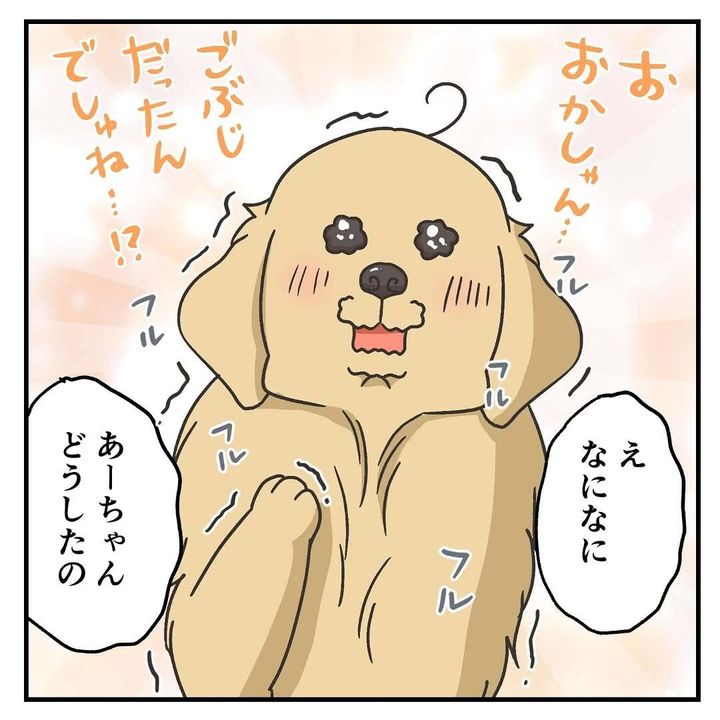 漫画「家に帰ってきたら犬の様子がおかしいんだが？」のカット（餅付きなこさん提供）