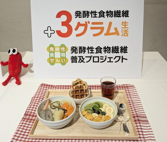 発酵性食物繊維