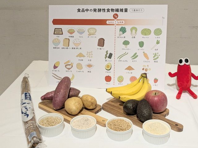 発酵性食物繊維
