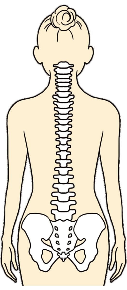 ねこ背にならずきれいな姿勢に！
