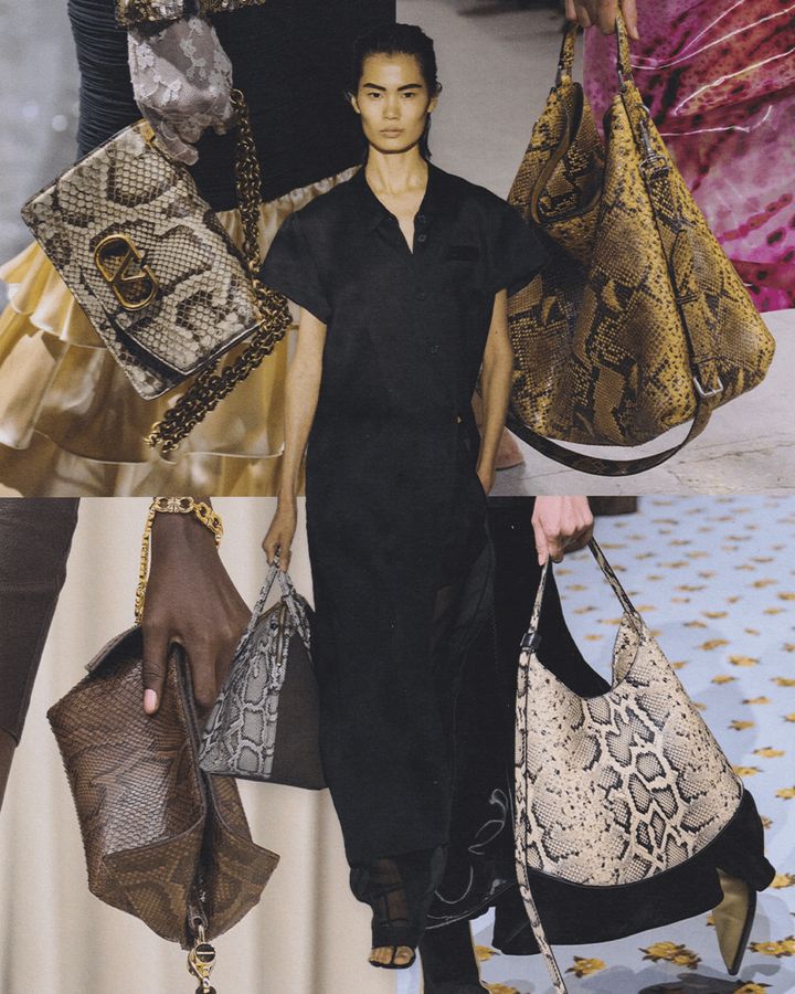 （中央）ケイト（右上から時計回り）ドリス ヴァン ノッテン、ジル サンダー、フェラガモ、ヴァレンティノ