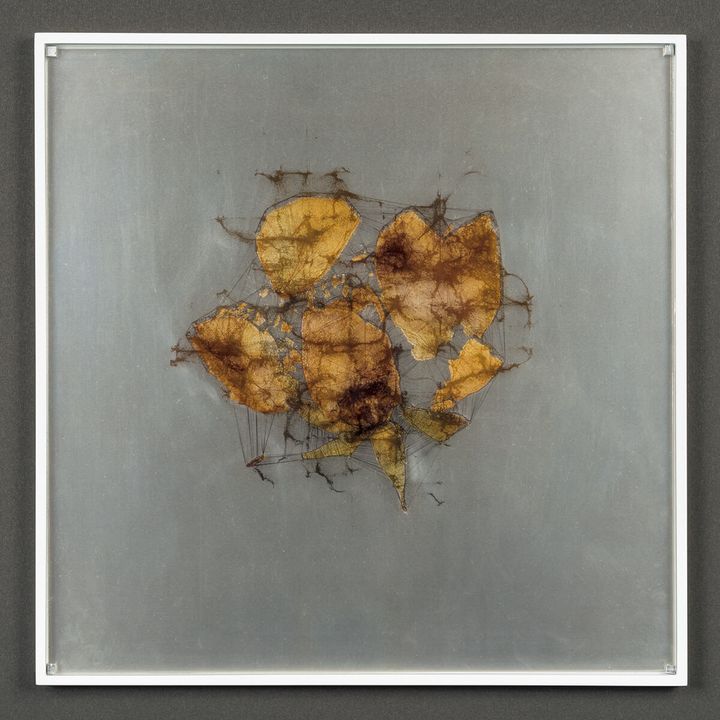 アーティスト・黒川良一の作品