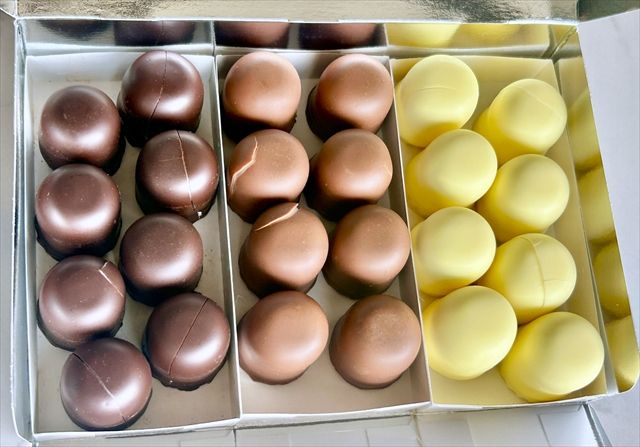 ディックマンズ オープン