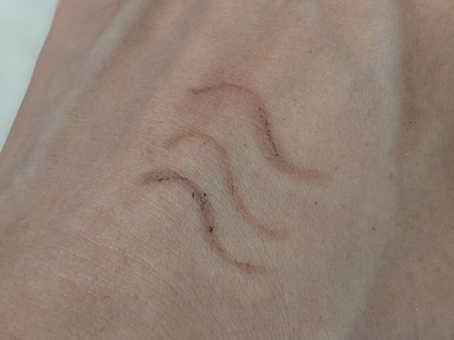 パラドゥの写真