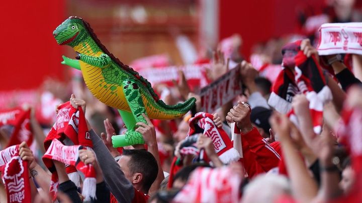 お騒がせセクシー女優、永久追放されたはずのサッカーチームの試合に変装して潜入するもバレて追い出される…ファンはブーイング