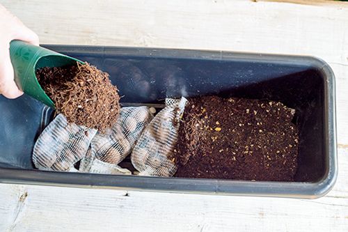 プチプラ＆おうちにあるグッズで始めよう！ まずはビギナーも育てやすいハーブ4種で「コンテナ寄せ植え」の画像8