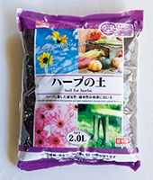 プチプラ＆おうちにあるグッズで始めよう！ まずはビギナーも育てやすいハーブ4種で「コンテナ寄せ植え」の画像1